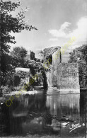 64.  SAUVETERRE DE BEARN .  Le Pont De La Légende . - Sauveterre De Bearn