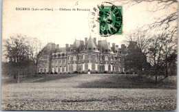 41 SALBRIS -- Le CHATEAUde Rivaulde Depuis Le Parc. - Salbris