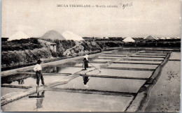 17 LA TREMBLADE - Marais Salants. - Autres & Non Classés