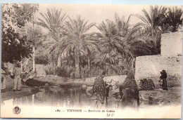 TUNISIE - Aux Environs De Gabes  - Tunisie