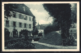 AK Steisslingen, Blick Zum Schloss  - Sonstige & Ohne Zuordnung