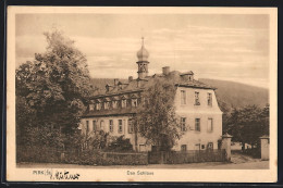 AK Pirk / Weiden, Blick Auf Schloss  - Weiden I. D. Oberpfalz