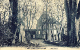 *CPA - 21 -  SANTENAY LES BAINS - Le Château - Other & Unclassified