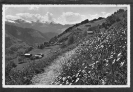 11790 Pany (1250 M) Rongellia - Promendade Avec Chalets - Autres & Non Classés