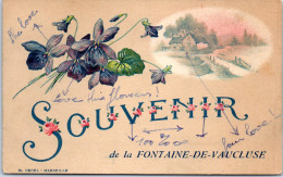 84 FONTAINE DE VAUCLUSE - Un Souvenir. - Autres & Non Classés