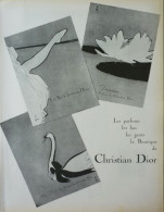 PUBLICITE Papier - PUB - Parfum Christian Dior - Publicités