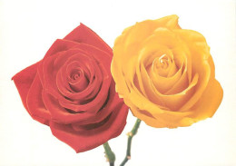 Publicite - Dexia Bank - Roses Rouge Et Jaune - Fleurs - Carte Neuve - CPM - Voir Scans Recto-Verso - Publicité