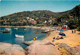 83 - Le Lavandou - Environs Du Lavandou - La Fossette - Plage - CPM - Voir Scans Recto-Verso - Le Lavandou