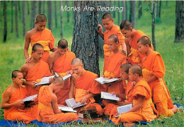 Thailande - Monks Are Reading - Moines Boudhistes - Carte Neuve - Thailand - CPM - Voir Scans Recto-Verso - Thailand