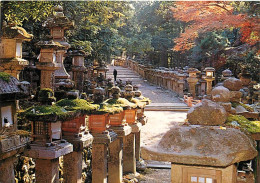 Japon - Nara - Kasuga Shrine - Carte Neuve - Nippon - CPM - Voir Scans Recto-Verso - Other & Unclassified