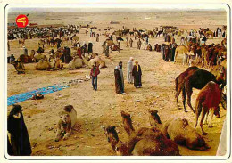 Maroc - Maroc Typique - Souk Des Chameaux - CPM - Voir Scans Recto-Verso - Autres & Non Classés