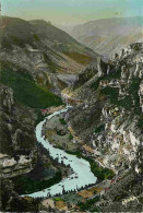 48 - Les Gorges Du Tarn - Le Point Sublime - CPM - Voir Scans Recto-Verso - Gorges Du Tarn