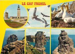 22 - Le Cap Fréhel - Multivues - Oiseaux De La Réserve - CPM - Voir Scans Recto-Verso - Cap Frehel