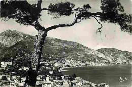 06 - Menton - Menton Et La Frontière Vus Du Cap Martin - CPM - Voir Scans Recto-Verso - Menton