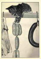 Animaux - Chats - Chatons - Charcuterie - CPM - Voir Scans Recto-Verso - Chats