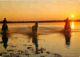 Animaux - Chevaux - Camargue - Chevaux Sauvages En Liberté - Gardians - Coucher De Soleil - Flamme Postale - Voir Scans  - Horses