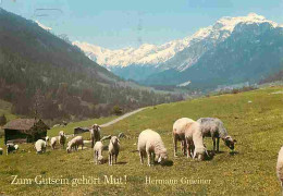 Animaux - Moutons - CPM - Voir Scans Recto-Verso - Autres & Non Classés