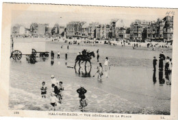 Malo Les Bains Dunkerque  Vue Générale De La Plage ( Cheval Servant à Tirer Les Cabines De Bain , Villa , Avant 1912 - Malo Les Bains