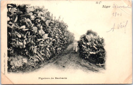 ALGERIE - Figuiers De Barbarie. - Other & Unclassified