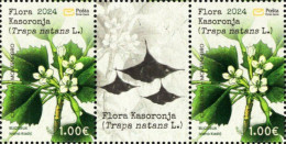 Montenegro - 2024 - Flora - Water Chestnut - Trapa Natans - Mint Stamp PAIR With Coupon - Montenegro