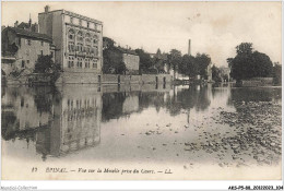 AKSP5-0460-88 - EPINAL - Vue Sur La Moselle Prise Du Cours - Epinal