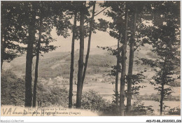 AKSP3-0216-88 - échappée Sur La Route Du Grand-hôtel De La - FEUILLEE-DOROTHEE - VAL D'AJOL - Epinal