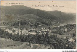 AKSP2-0132-88 - Les Vosges Illustrées - SAINT-MAURICE - Colline Des Charbonniers - Epinal