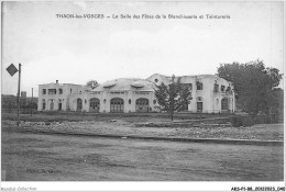 AKSP1-0021-88 - THAON-LES-VOSGES - La Salle Des Fêtes De La Blanchisserie Et Teinturerie - Thaon Les Vosges