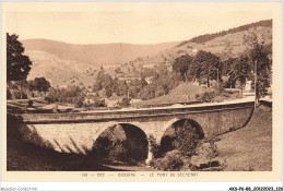 AKSP6-0572-88 - BUSSANG - Le Pont Du Séchenat - Epinal