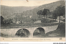 AKSP6-0558-88 - BUSSANG - Le Pont Du Séchenat Et Vue Sur Le Palais Des Sources - Epinal