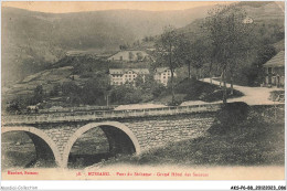 AKSP6-0552-88 - BUSSANG - Pont Du Séchenat - Grand Hôtel Des Sources - Epinal