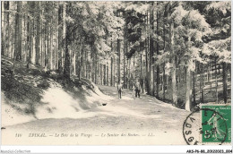 AKSP6-0511-88 - EPINAL - Le Bois De La Vierge - Le Sentier Des Roches - Epinal