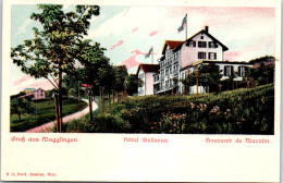 SUISSE - BERNE - MACOLIN - L'hotel Bellevue. - Other & Unclassified