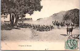 ALGERIE - Scenes Et Types - Un Troupeau De Moutons  - Scènes & Types