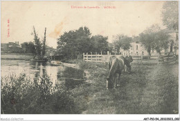 AKTP10-0922-54 - Environs De LUNEVIILLE - MONCEL  - Luneville