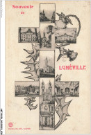 AKTP9-0835-54 - LUNEVILLE - Souvenir De Lunéville  - Luneville
