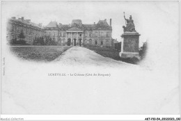 AKTP10-1017-54 - LUNEVILLE - Le Chateau - Coté Des Bosquets  - Luneville