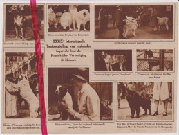 Brussel - Tentoonstelling Honden - Orig. Knipsel Coupure Tijdschrift Magazine - 1933 - Non Classés