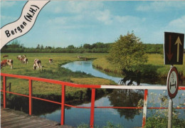 105585 - Niederlande - Bergen Aan Zee - Ca. 1980 - Sonstige