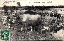 58 En Morvan - Bœufs A L'abreuvoir  - Sonstige & Ohne Zuordnung