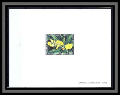 Nouvelle Calédonie épreuve De Luxe / Deluxe Proof N° 600 Flore Calédonienne Hibbertia Fleurs (plants - Flowers) - Other & Unclassified