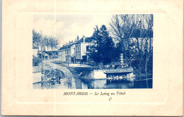 45 MONTARGIS - Le Loing Au Tivoli -  - Montargis