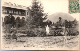 ALGERIE - HAMMAM R'HIRA - Le Jardin  - Autres & Non Classés