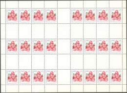 ZUSAMMENDRUCKE MHB 14/15 A **, 1972, 2 Markenheftchenbogen Rosen, Postfrisch, Pracht, Mi.100.- - Zusammendrucke