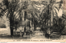 NÂ°3472 Z -cpa Nice -promenade Du ChÃ¢teau -allÃ©e De Palmiers- - Parks, Gärten