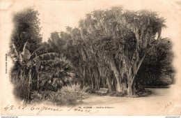 NÂ° 3746 Z -cpa Alger -jardin D'Essais- - Alger