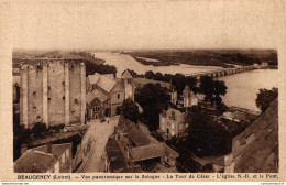 NÂ° 4631 Z -cpa Beaugency -vue Panoramique Sur La Sologne- - Beaugency