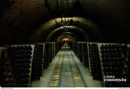 NÂ° 4508 Z -cpsm Cavas Codorniu -bouteilles Sur Pointe- - Vignes