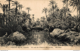 NÂ° 5483 Z -cpa Tozeur -un Coin De L'oasis Ã  Ras El AÃ¯n- - Tunesien