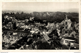 NÂ° 5207 Z -cpsm Montfort L'Amaury -panorama Pris Des Tours- - Montfort L'Amaury